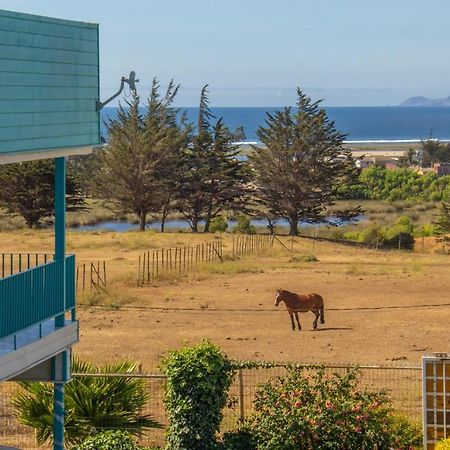 Marina Pichilemu 아파트 호텔 외부 사진